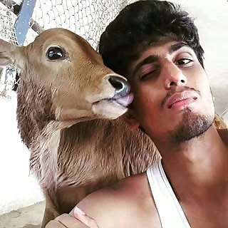 Arvind Animal Activist