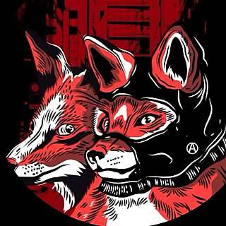 Rachel J Levy Ejsmont