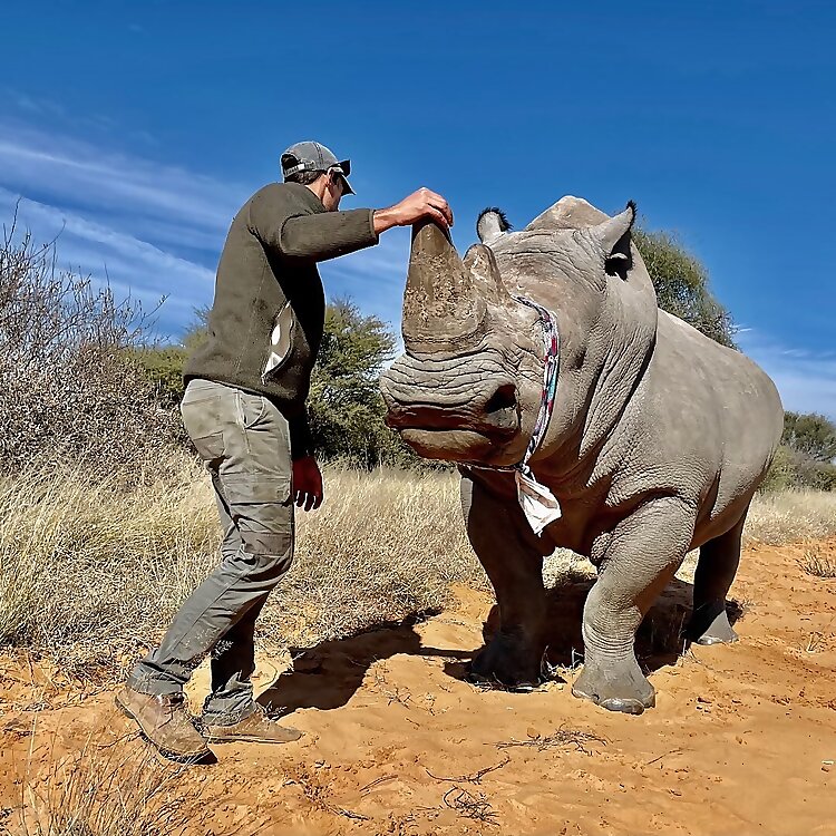 Joel Alves 