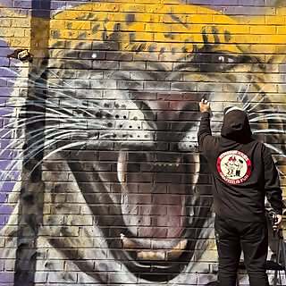 Jonathan Martinez Diaz