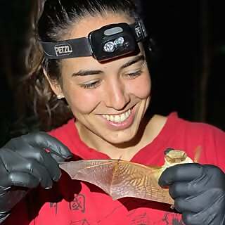 Cecilia Montauban