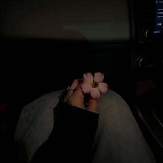 Kitty Pemberton-Platt