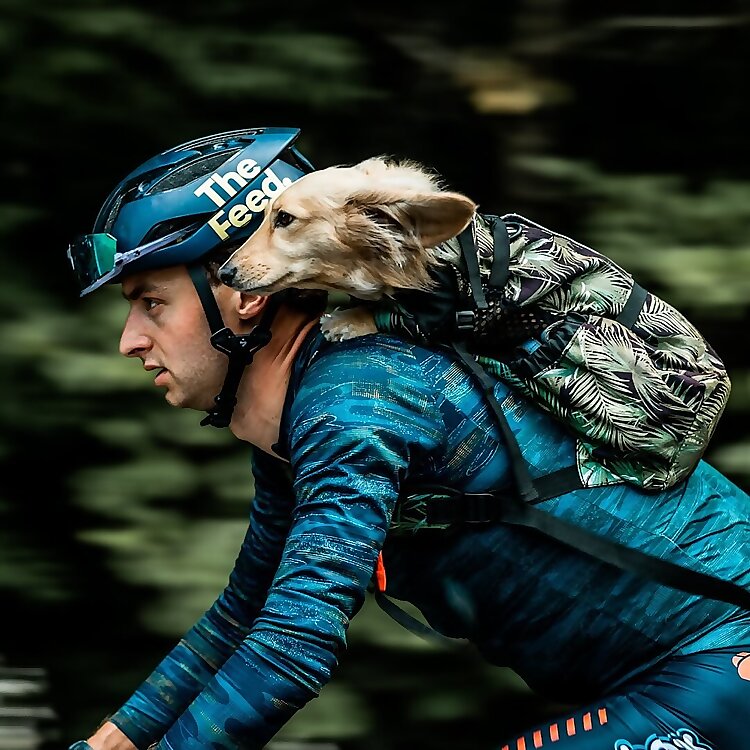 Alexey Vermeulen