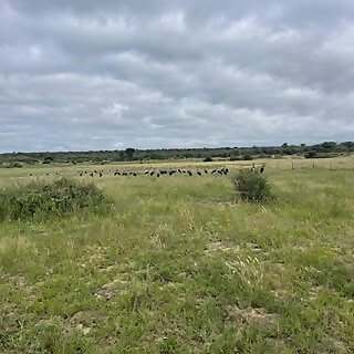 Sweetveld Farming