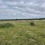 Sweetveld Farming