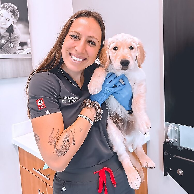 Dr. Madison Lopp