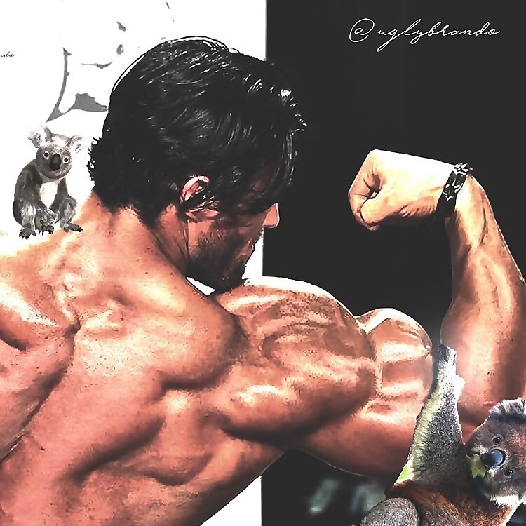 Calum von Moger