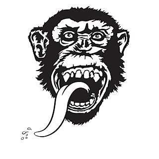 Richard R Rawlings