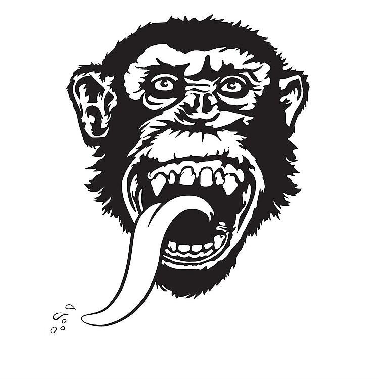 Richard R Rawlings