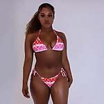Melaninmae