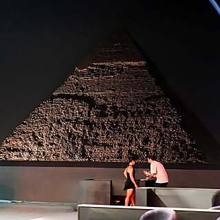 Andrew Wagih Shoukry