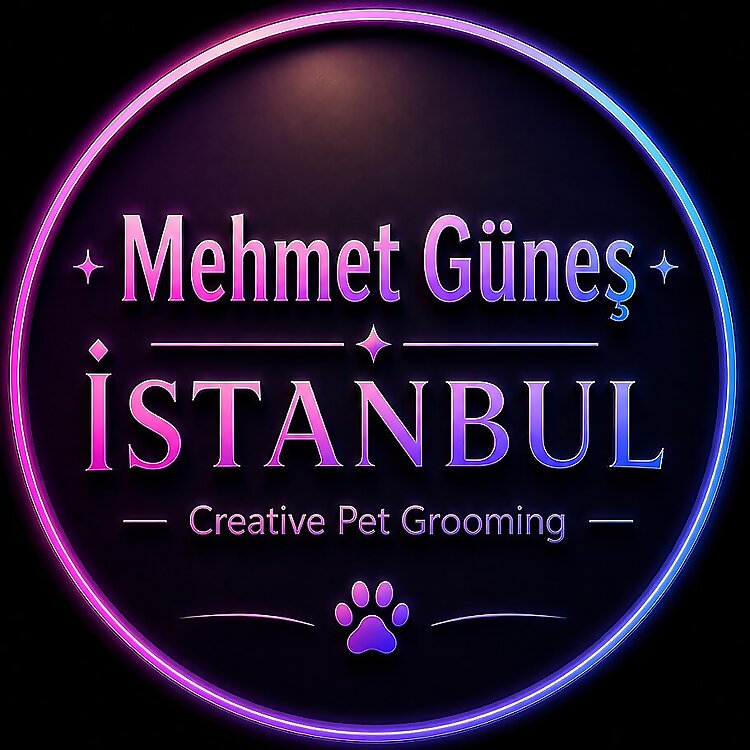 Mehmet Gunes