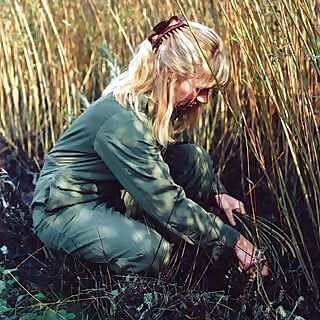 Jenny Crisp
