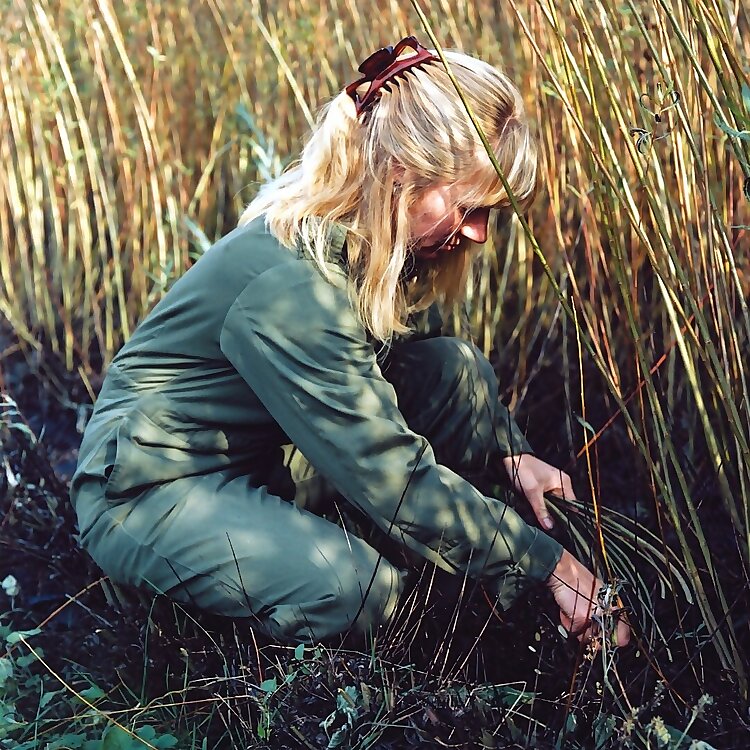 Jenny Crisp