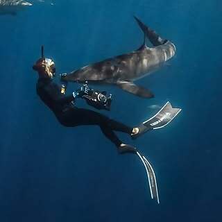 Alexis Ariel Flotteron