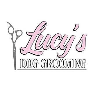 Lucy’