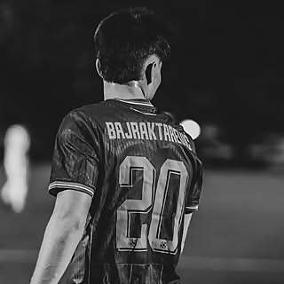 Esmir Bajraktarević