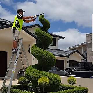 Topiary King