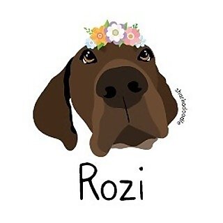 K-9 RŌZI