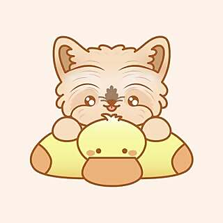 Ducky the Yorkie