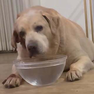 Chubby
