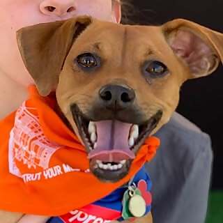 CHAWMING CHURRO & PANCAKE