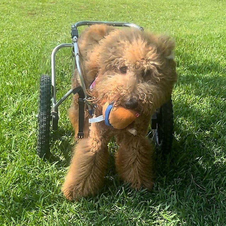 Winnie