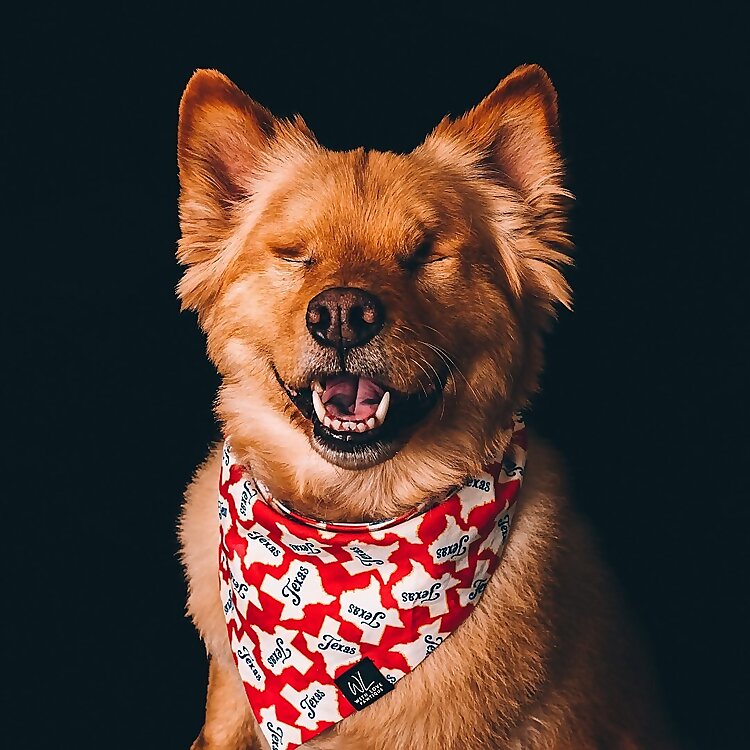 Nala