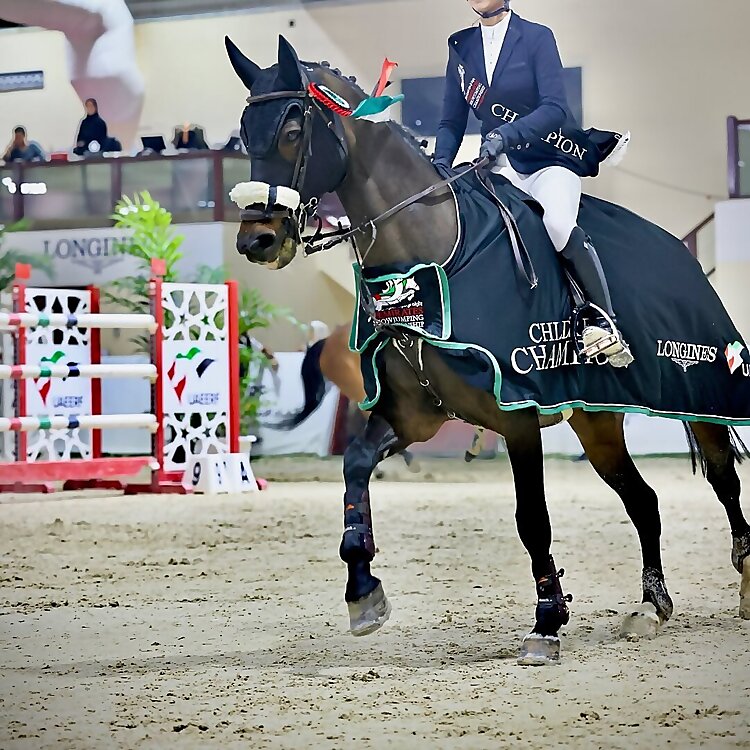 Alya Bin Meshar AlMheiri