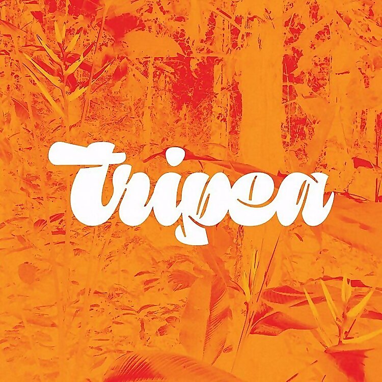 Roberto Martinez foronda