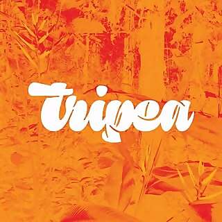 Roberto Martinez foronda