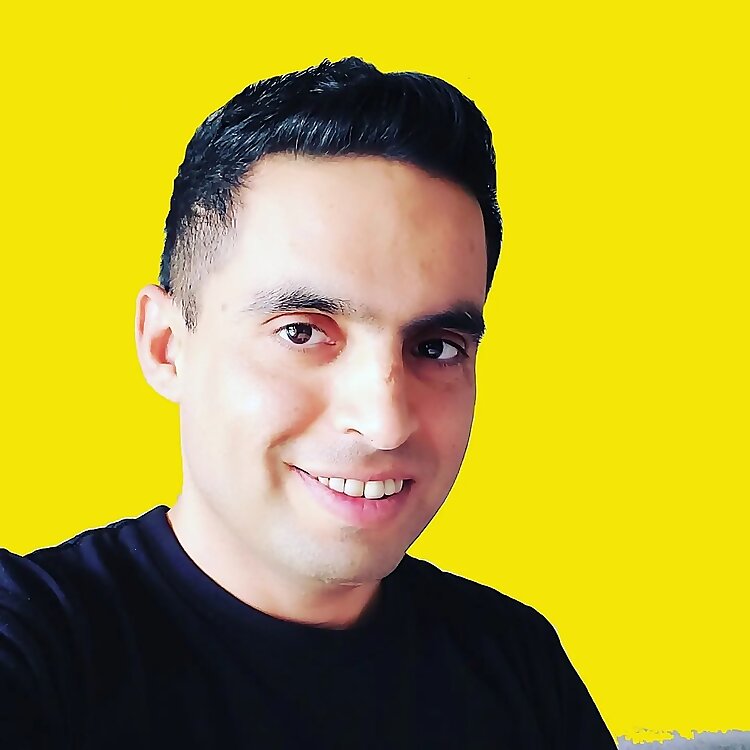 Sina Pourghodrat 