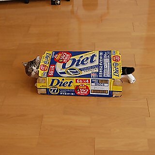 I am Maru