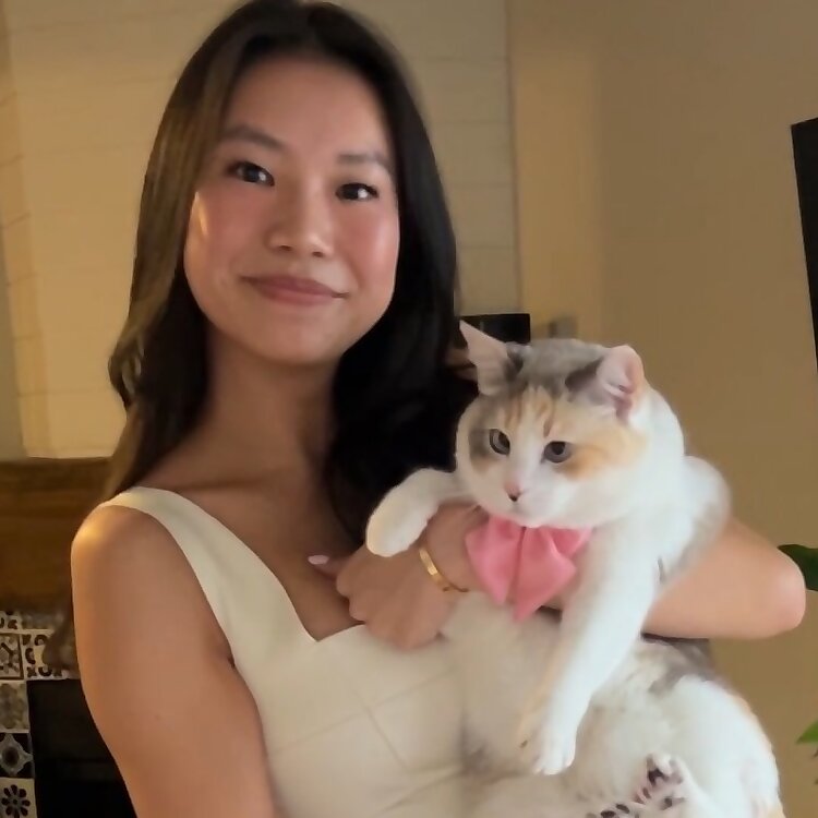 Panko A. Cat