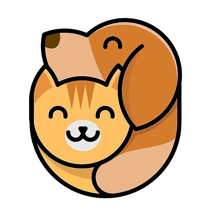 Ginger Cat & Vizslas