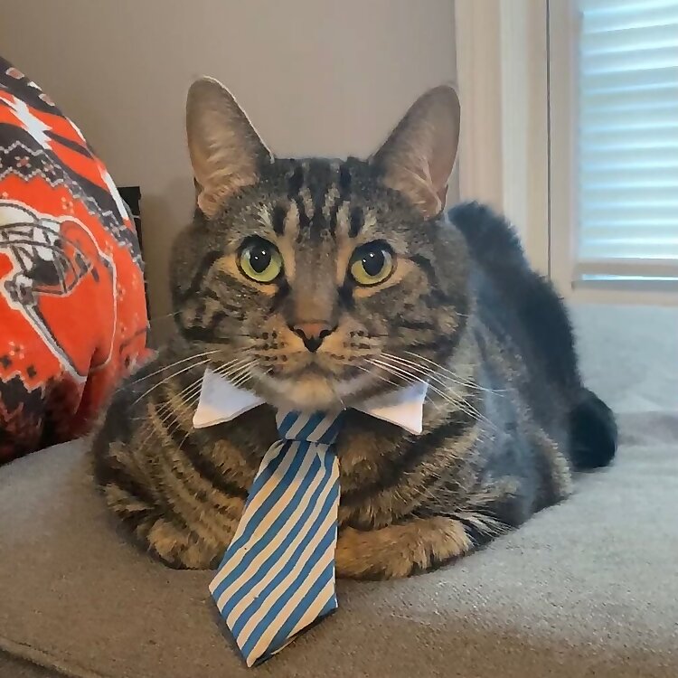 Milo