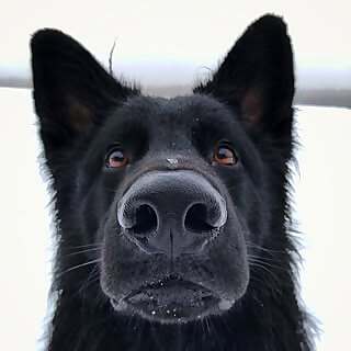 Charlie