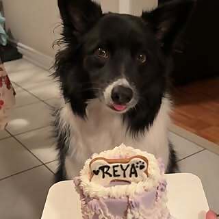 Kelsey & Reya