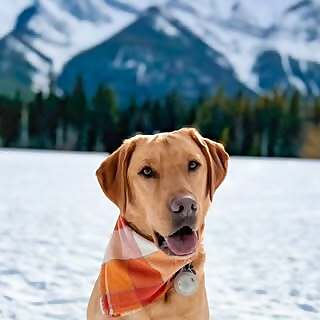 Juliette + Stephanie