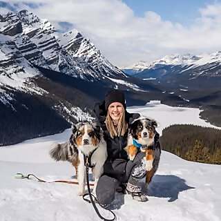 Apollo & Peyto