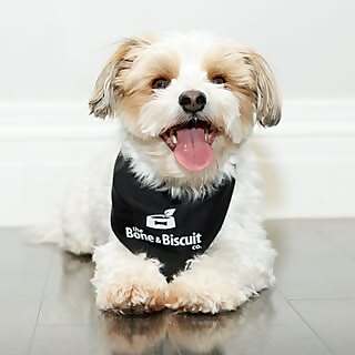 Bailey