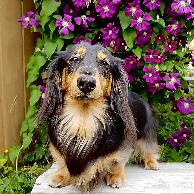 Stanley