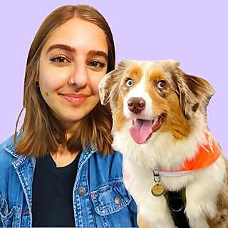 Rojhan Paydar + Butters