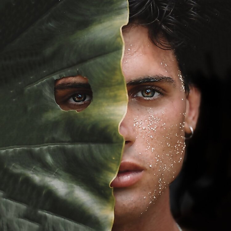 Daniel illescas