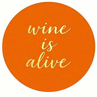 Ramon Vino Delmonte