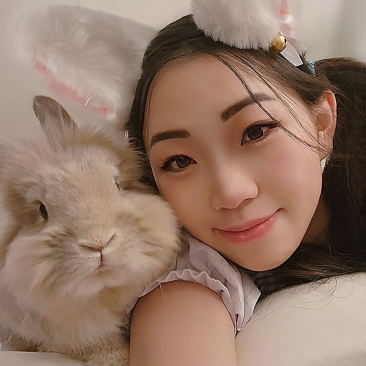 Miffy & Mikka