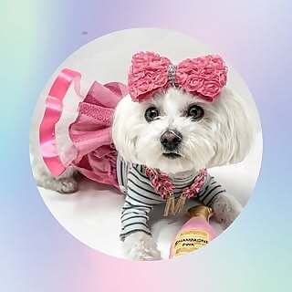 Minnie Penny