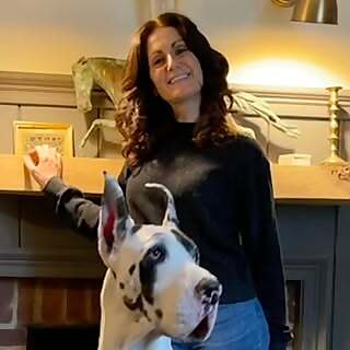 Great Dane Sabrina