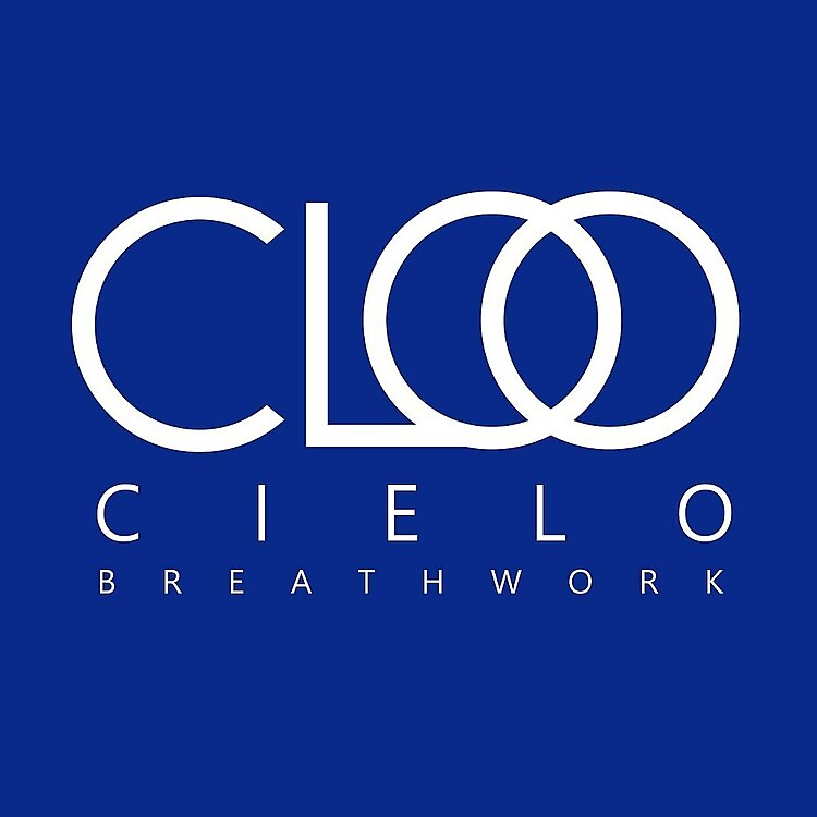 Cielo Stein