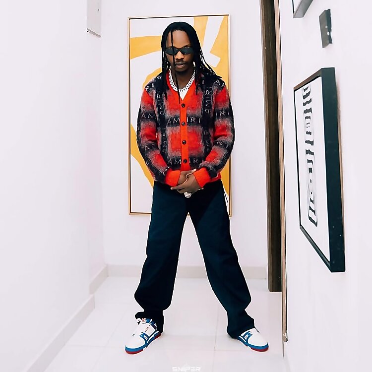 Azeez Adeshina Fashola